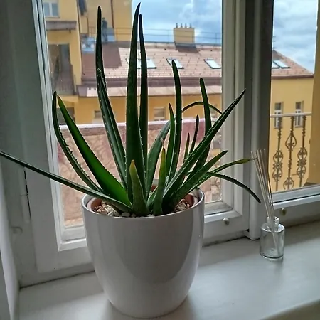 Botanic Garden Center Prag